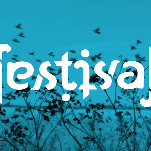 festival (2014)