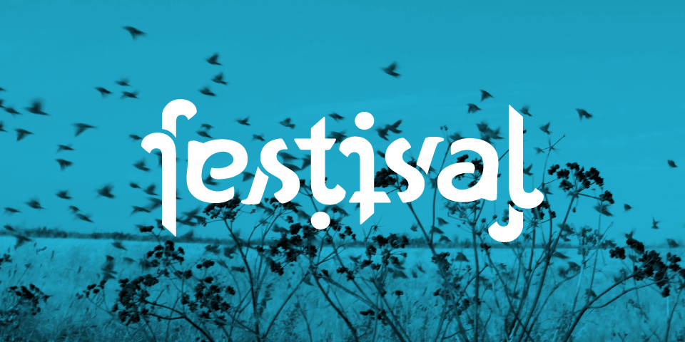 festival (2014)